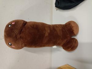 CS411/2024 PELUCHE
